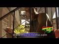 Tami Chynn - Over and Over 