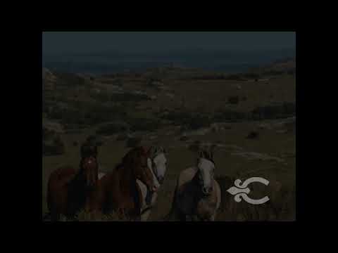 Video de YouTube - Lote en Chacras de las Sierras ref. 5948
