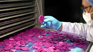 MARTIN BROTHERS FOOD FACTORY