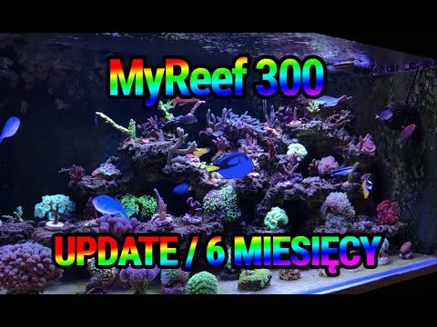 (139) MyReef 300 / Update / 6 months - Marine aquarium - Reef aquarium