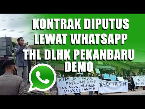 Diputus Kontrak Lewat WhatsApp, THL DLHK Pekanbaru Demo Minta Agus Pramono Dipecat