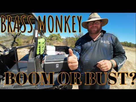 Brass Monkey Fridge Freezer Review | A NOT SO FAVOURABLE OPINION