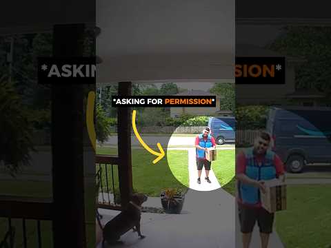 He asked the dog for permission and the dog answered 🥹🐶