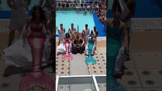 Crossing the Equator on the Celebrity Solstice Cruise to Australia 10/5/2025 #celebritycruises