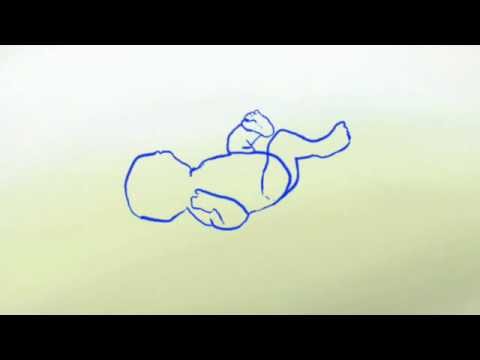 Stappa - Døktig gut