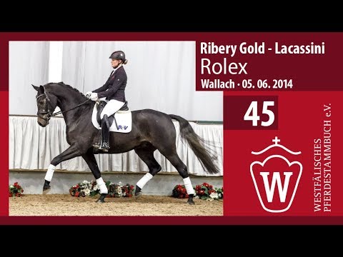 45 Rolex Wallach v. Ribery Gold - Lacassini