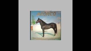 BRONCO-Cariño Grande