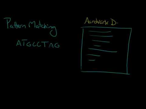 Python Programming Series Algorithmic Thinking 2 Algorithms In Computer Science