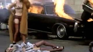 Screaming Trees  "Polly Pereguin" Unauthorized 5 disc Set