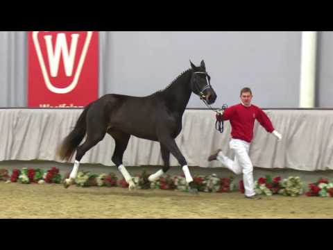 13  Ruby Mae Stute v. Rock Forever II - Likoto xx