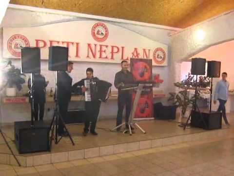 Radovan Ivanovic - Harmoniko moja