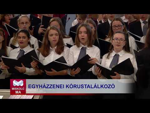 Videó előnézet