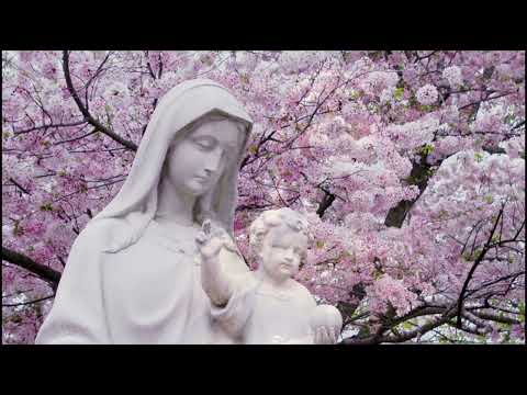 HVALA TI NA SVEMU MAMA - JOSIP ZORIC