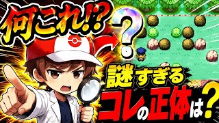 【改ポケ】かいりきを攻略せんと次に進めん！【改ポケすれいや研究所のモヤッシモンスター040】