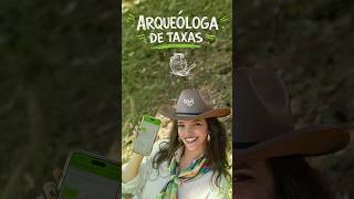 Adeus, taxas altas! Conheça o TapTon 💚