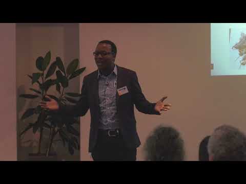2017 AUT 3MT Competition - McDonald William Nyalapa