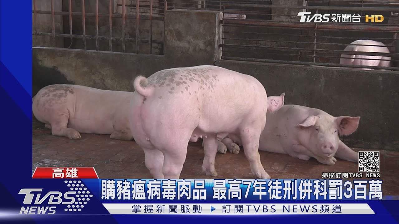 移工宿舍跨海訂購 10多公斤雞肉絲混豬肉驗出豬瘟病毒