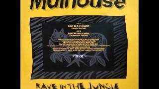 MULHOUSE - RAVE IN THE JUNGLE (JUNGLE VERSION)  - 1995