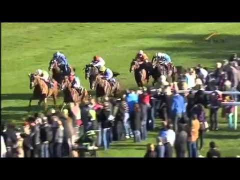 Preis des Winterfavoriten  2015 Gr3