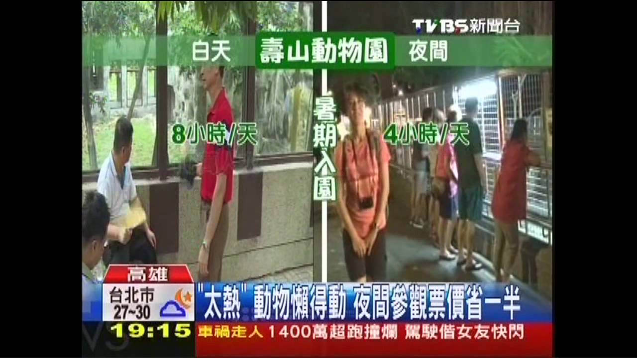 搶夜客！動物園、遊樂園星光票　夏日夯