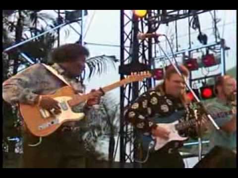 Albert Collins  At Mount Fuji