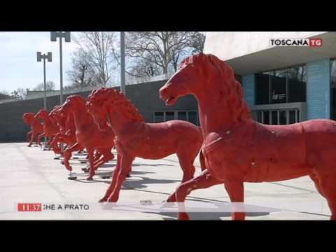 2017-03-21 TG MATTINA