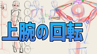 フラッシュドローイング（00:43:28 - 00:59:13） - 上腕骨の回転を考えると筋肉が見えてくる　#354 朝ドロ season2 がんばらなくていい簡単クロッキー練習【初心者歓迎】