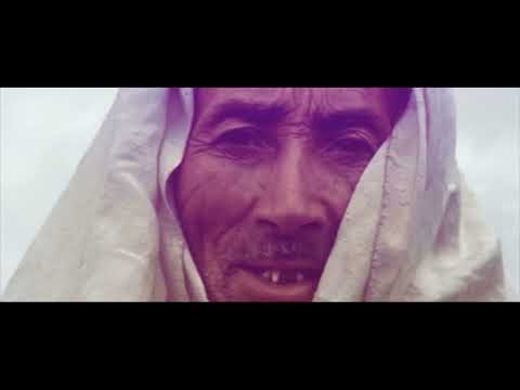 All Day All Night (2013)