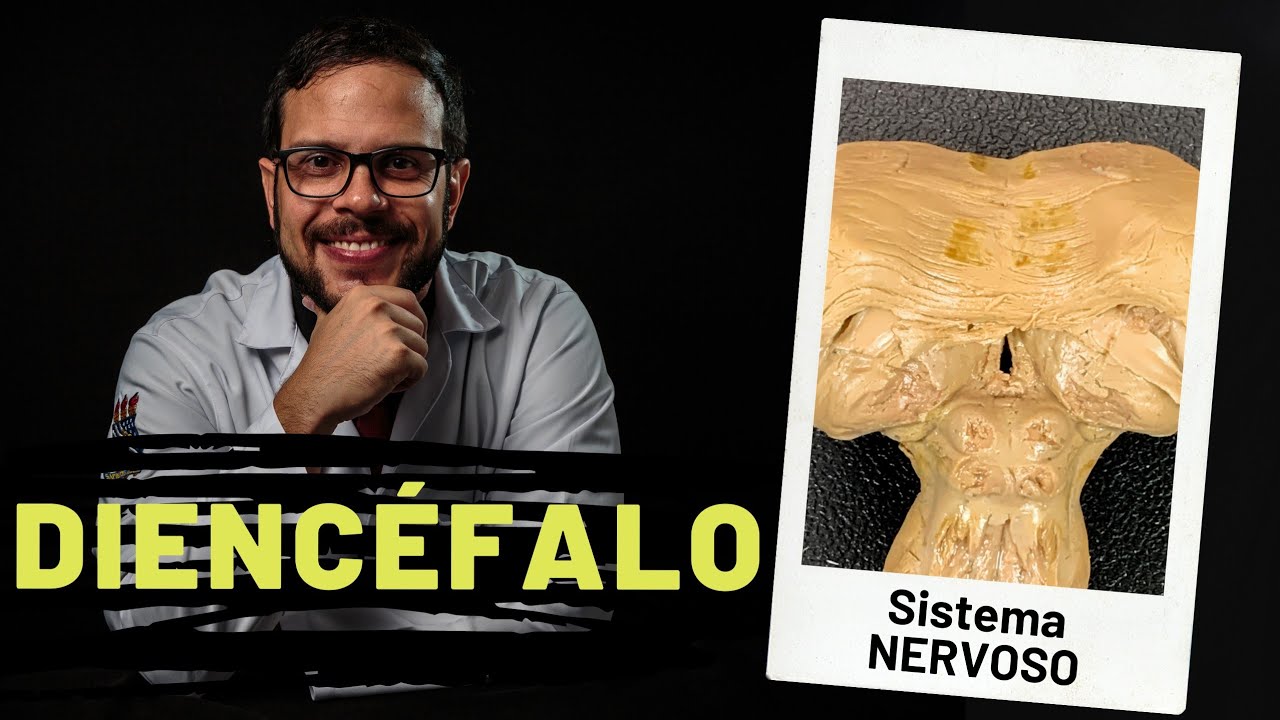 SISTEMA NERVOSO: DIENCÉFALO - AULA PRÁTICA COM PROF. ANDRÉ OLIVEIRA