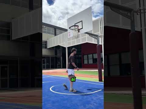 Jogadores de basquete estão comprando essa rede 🏀