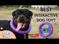 PULLER Review: Best Interactive Dog Toy So Far?
