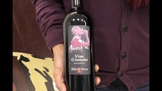 salerno-club-2010-tutti-all-arechi-contro-la-cremonese