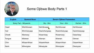 Some Severn Ojibwe Body Parts 1