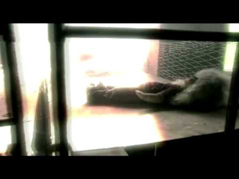 08 O Milênio Estudo Bíblico Cid Moreira HD