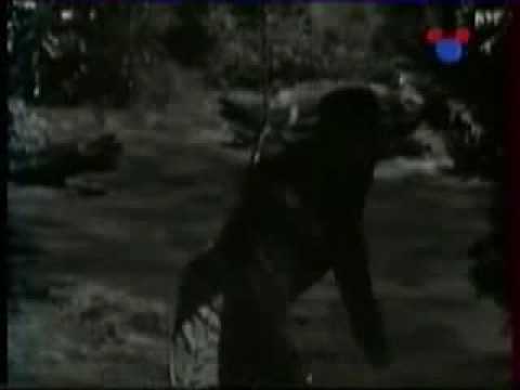 Zorro Disney 3 season El Bandido part 5