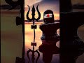 Om Namah Shivay Shorts Viral Video Whatsapp Status