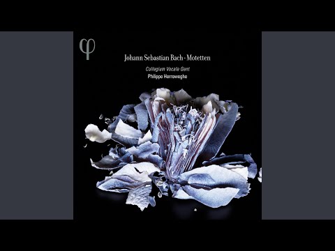 Komm, Jesu, komm !, BWV 229: Komm, Jesu, komm