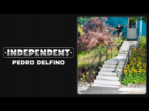 Pedro Delfino vs. Security… and a Kinked Handrail