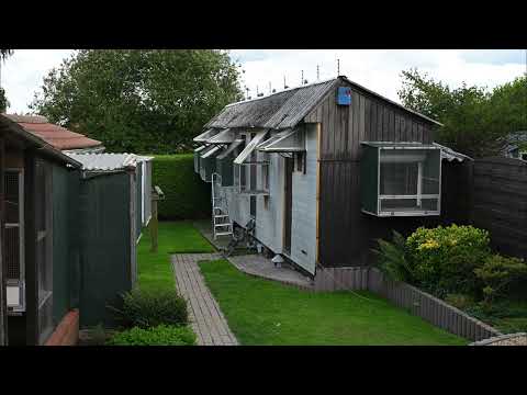 NEW KIM 3 - 1st National Ace Bird Great Middle Distance Yearlings KBDB 2025 - VANHOUDT - SERRE