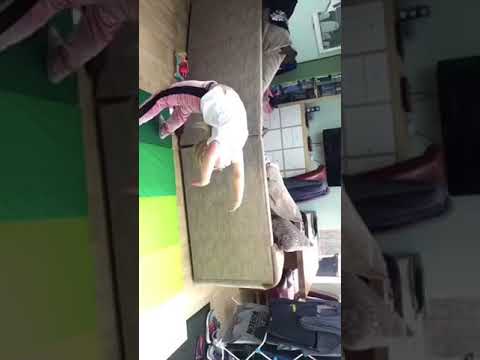 Doing Gymnastics Bridge ❤️