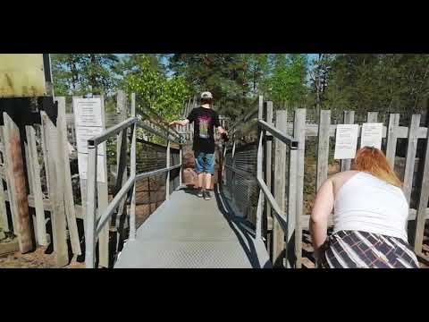 KurikkaLive - Pirunpesä