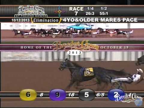 Anndrovette - 2013 Breeders Crown Elimination - Older Pacing Mares