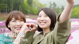 動画3