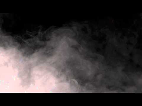 Savage Dude ***OFFICIAL MUSIC VIDEO***  Back To The Paper