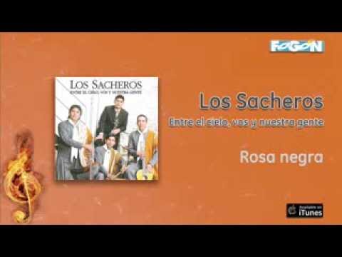 Los Sacheros - Rosa negra