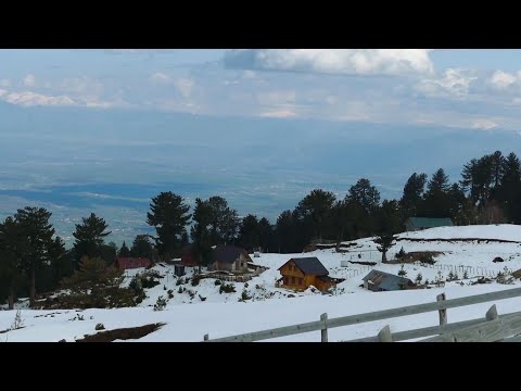 DIMRI I BJESHKËS - Reportazh