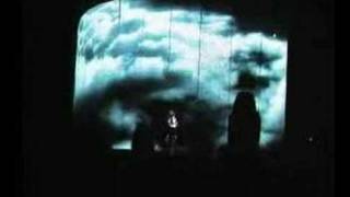 tiziano latina20/07/07 intro+tarantola d&#39;africa+baciano ledo