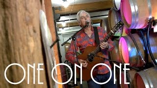 ONE ON ONE: Robyn Hitchcock November 7th, 2016 City Winery New York Full Session