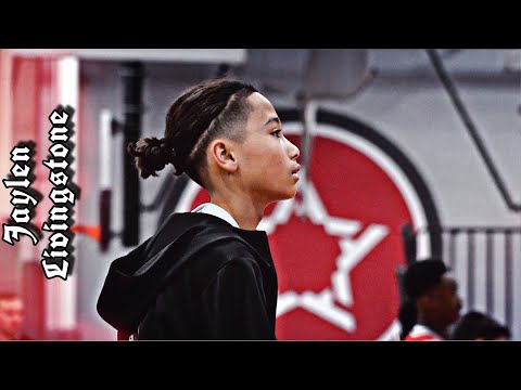 Jaylen Livingston 2020 MADE Hoops Basketball Tournament Highlights | Session 3