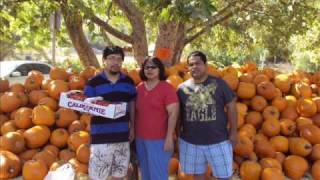 tuesdays i&#39;ll be here to hold you